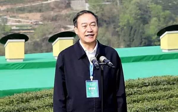 富硒清明茶有什么功效(富硒清明茶一斤)-硒宝网