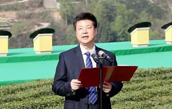 富硒清明茶有什么功效(富硒清明茶一斤)-硒宝网