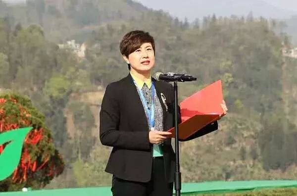 富硒清明茶有什么功效(富硒清明茶一斤)-硒宝网