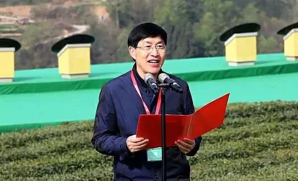 富硒清明茶有什么功效(富硒清明茶一斤)-硒宝网