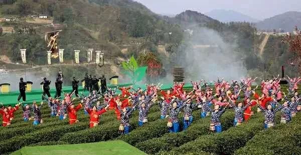 富硒清明茶有什么功效(富硒清明茶一斤)-硒宝网