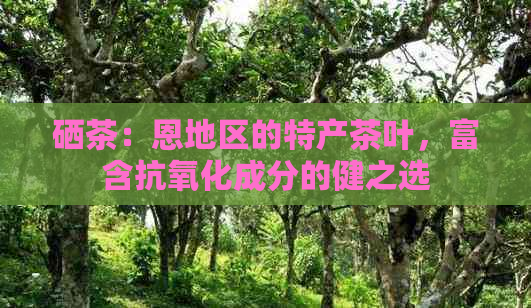 湖南有哪些富硒茶品种（湖南富硒农产品网）-硒宝网