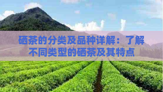 湖南有哪些富硒茶品种（湖南富硒农产品网）-硒宝网