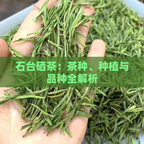 湖南有哪些富硒茶品种（湖南富硒农产品网）-硒宝网