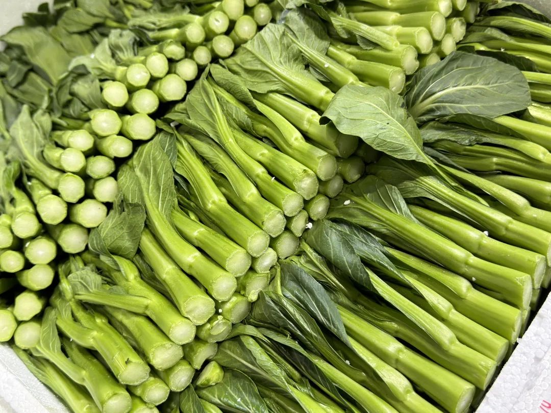 湖北恩施富硒茶怎样买(为什么恩施富硒茶那么便宜)-硒宝网