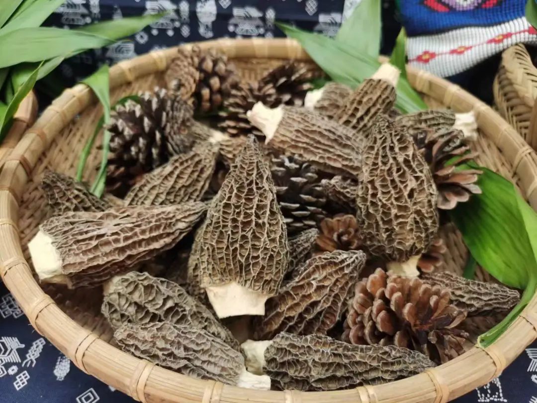 湖北恩施富硒茶怎样买(为什么恩施富硒茶那么便宜)-硒宝网