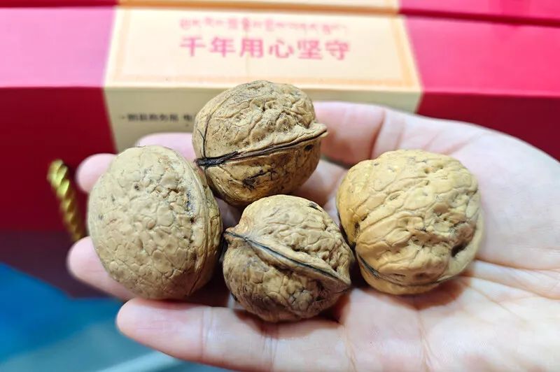 湖北恩施富硒茶怎样买(为什么恩施富硒茶那么便宜)-硒宝网