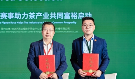 安康富硒茶品质如何样(安康富硒茶最古老的茶)-硒宝网