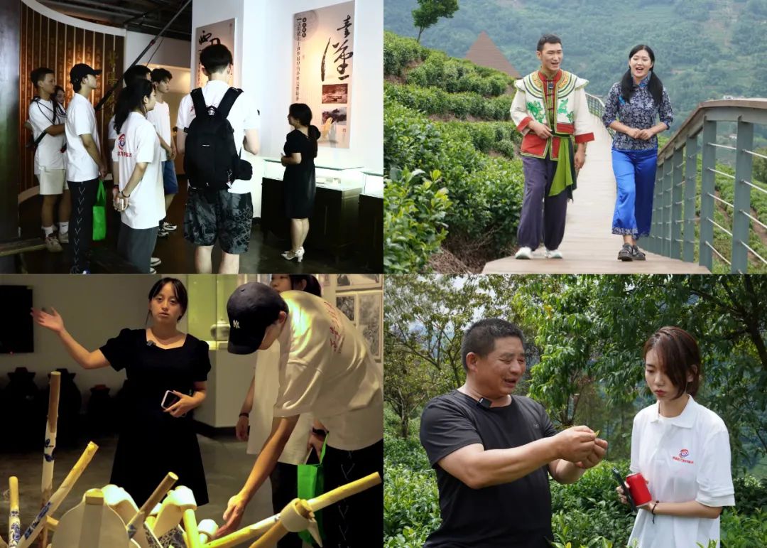 富硒茶推广方案怎么写(富硒茶广告语大全)-硒宝网