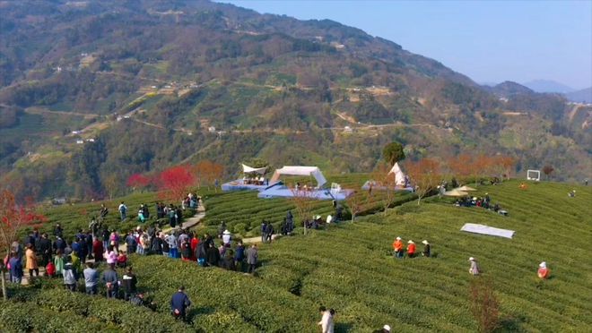 中国紫阳富硒茶开园记（紫阳富硒茶文化节）-硒宝网