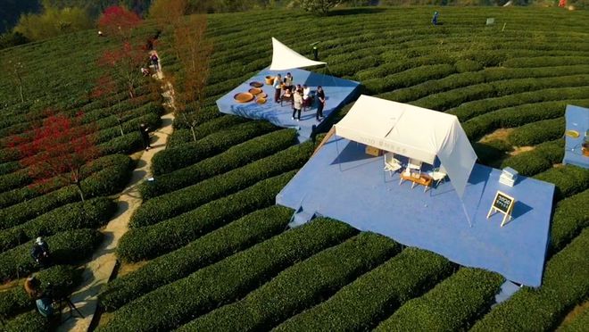 中国紫阳富硒茶开园记（紫阳富硒茶文化节）-硒宝网