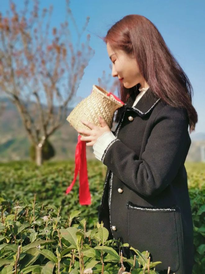 中国紫阳富硒茶开园记（紫阳富硒茶文化节）-硒宝网