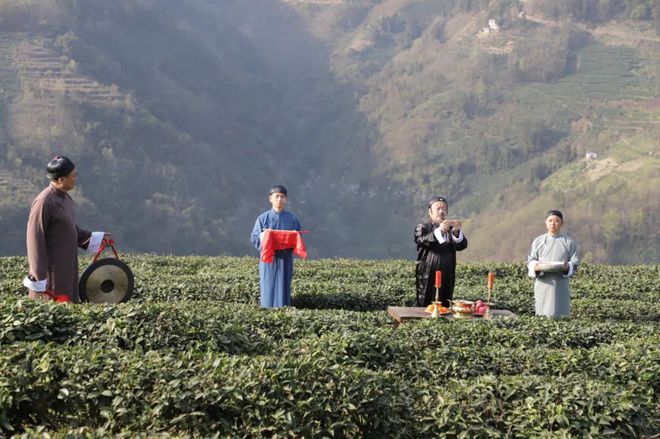 中国紫阳富硒茶开园记（紫阳富硒茶文化节）-硒宝网