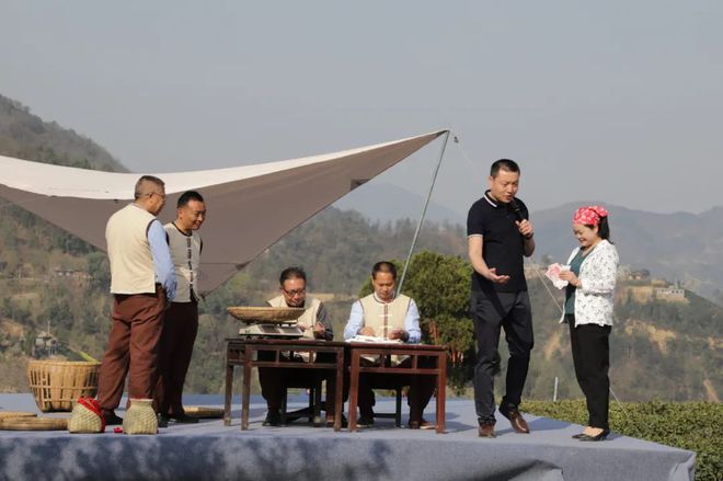 中国紫阳富硒茶开园记（紫阳富硒茶文化节）-硒宝网