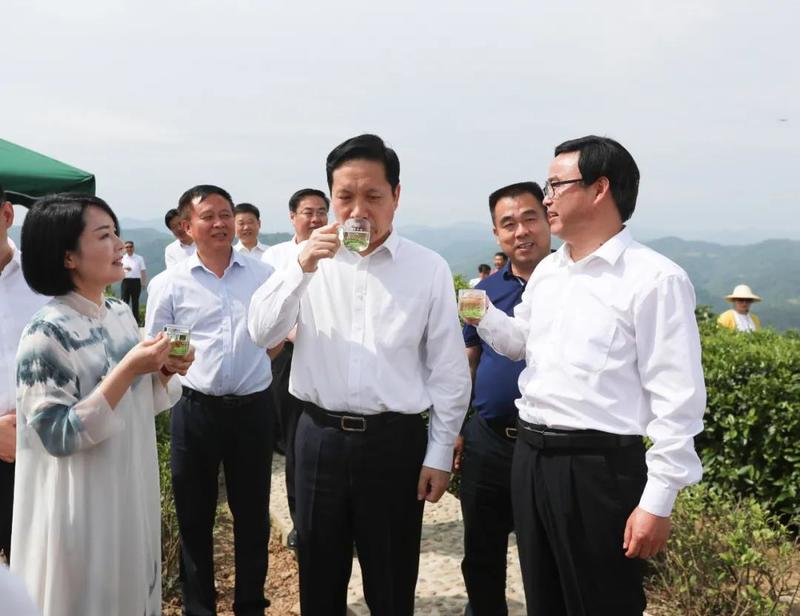 安康富硒茶的传播方式（安康富硒茶属于绿茶吗）-硒宝网