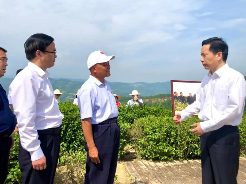 安康富硒茶的传播方式（安康富硒茶属于绿茶吗）-硒宝网