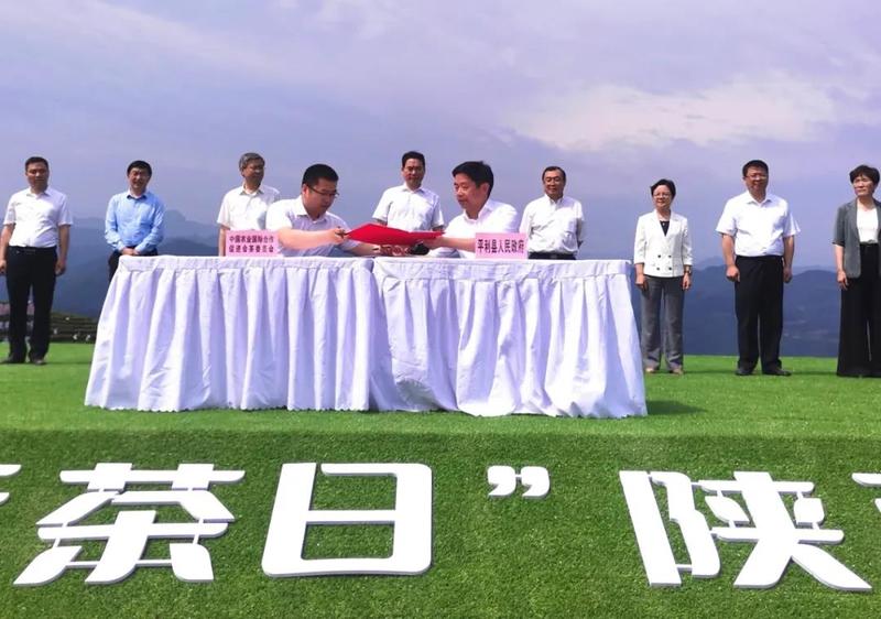 安康富硒茶的传播方式（安康富硒茶属于绿茶吗）-硒宝网