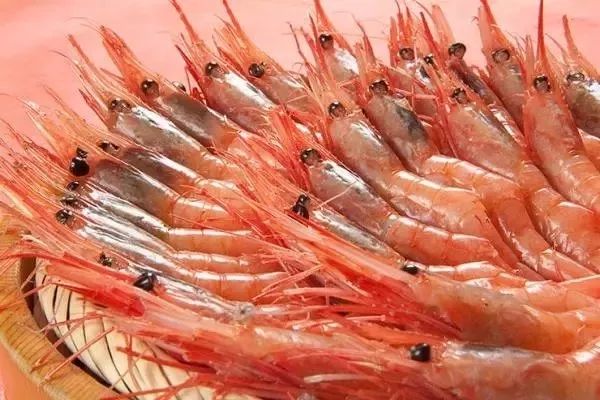 吃什么东西能补钙（补钙东西吃多了会让骨骼闭合吗）-硒宝网