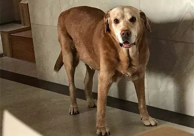 吃什么东西能补钙（能补钙东西吃多久）-硒宝网