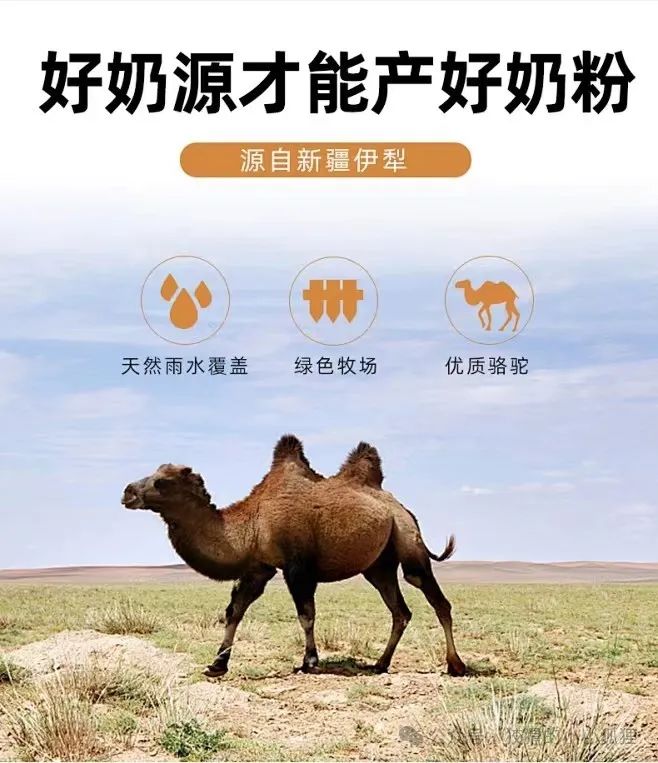 吃什么东西能补钙(补钙能吃啥)-硒宝网