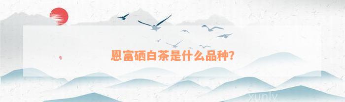 白河富硒茶有什么功效（富硒白茶价格）-硒宝网