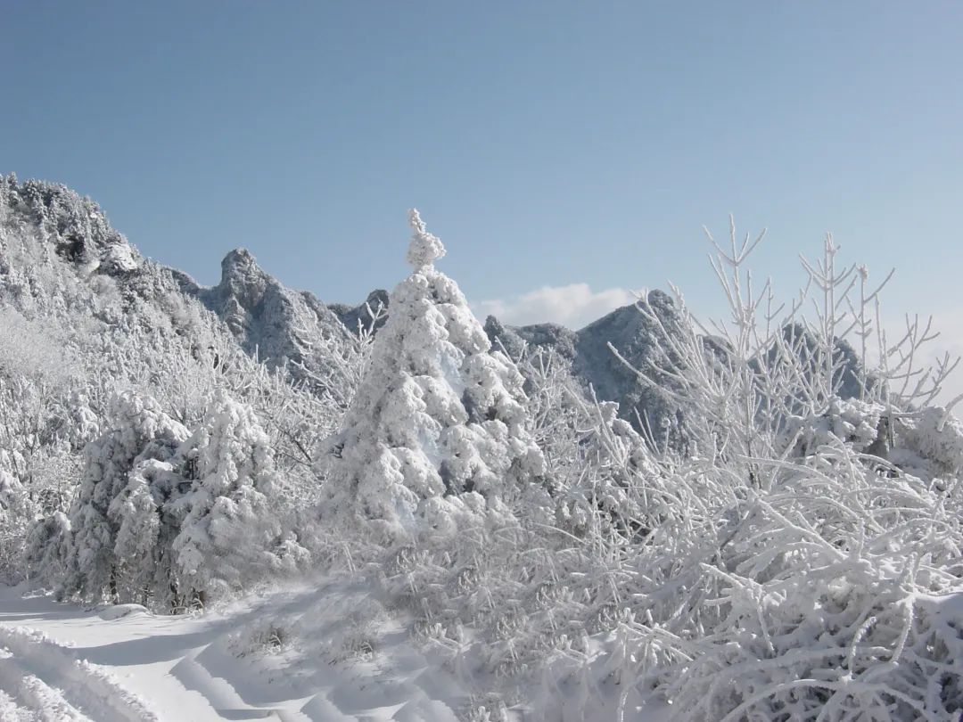 紫阳富硒茶观光园门票（紫阳富硒茶交易中心）-硒宝网