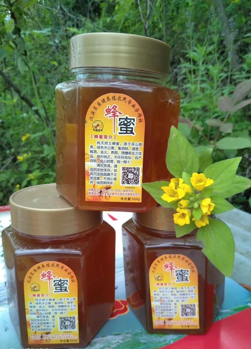 紫阳富硒茶观光园门票（紫阳富硒茶交易中心）-硒宝网