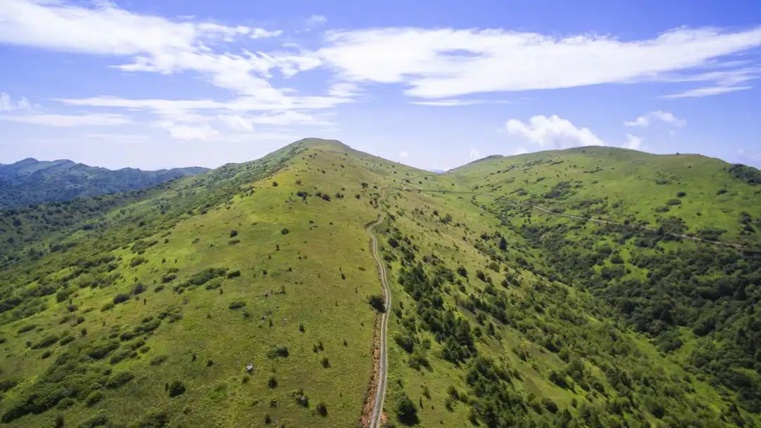 紫阳富硒茶观光园门票（紫阳富硒茶交易中心）-硒宝网