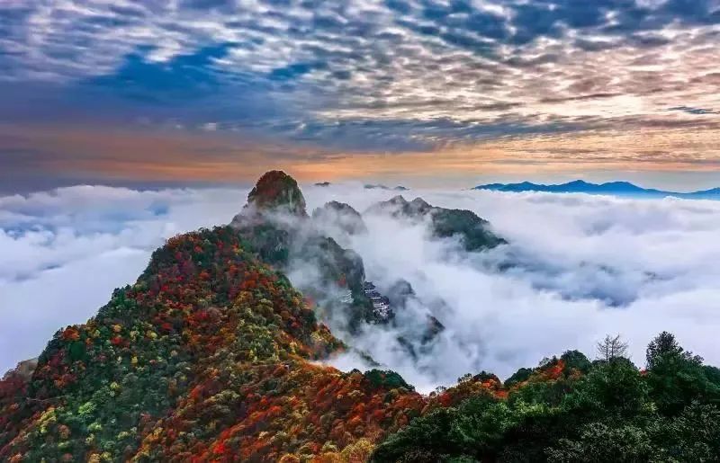 紫阳富硒茶观光园门票（紫阳富硒茶交易中心）-硒宝网