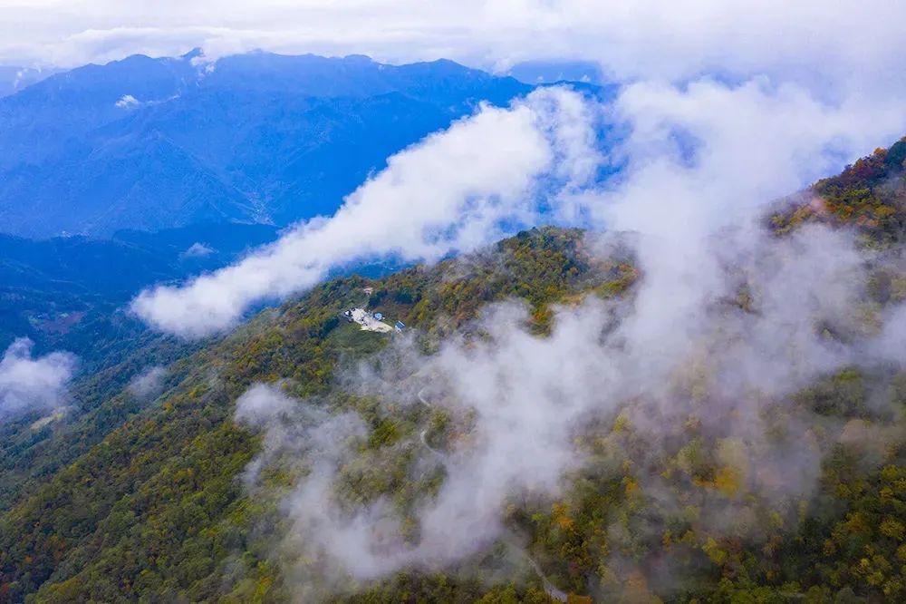 紫阳富硒茶观光园门票（紫阳富硒茶交易中心）-硒宝网