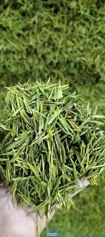 国内品质最好的富硒茶(中国富硒茶排名)-硒宝网