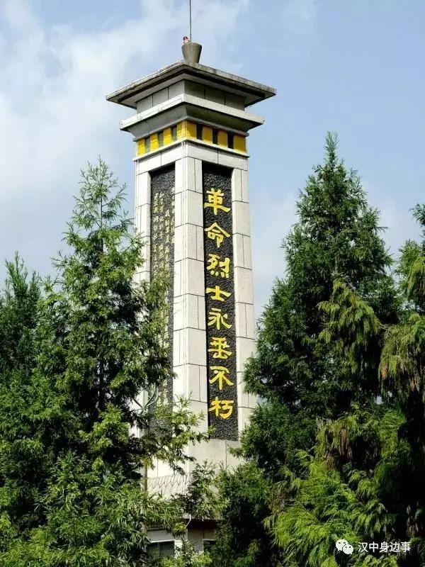 汉中红镇巴高山富硒茶（汉中高山富硒茶多少钱一斤）-硒宝网