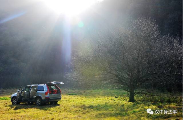 汉中红镇巴高山富硒茶（汉中高山富硒茶多少钱一斤）-硒宝网