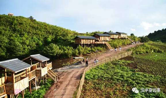 汉中红镇巴高山富硒茶（汉中高山富硒茶多少钱一斤）-硒宝网