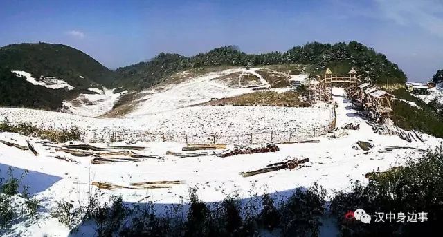 汉中红镇巴高山富硒茶（汉中高山富硒茶多少钱一斤）-硒宝网