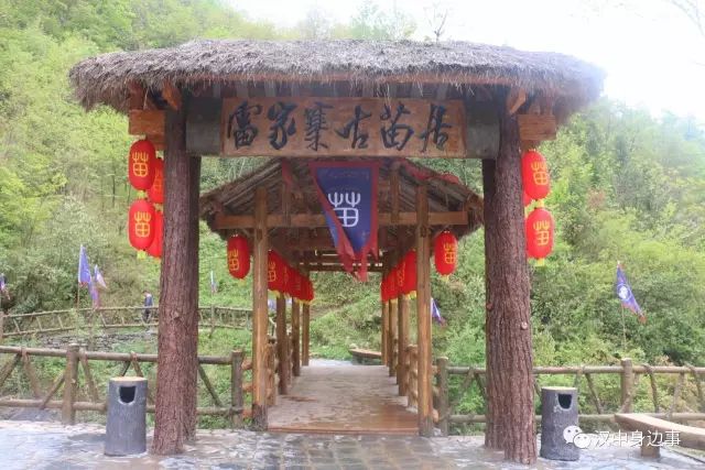 汉中红镇巴高山富硒茶（汉中高山富硒茶多少钱一斤）-硒宝网