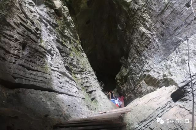汉中红镇巴高山富硒茶（汉中高山富硒茶多少钱一斤）-硒宝网