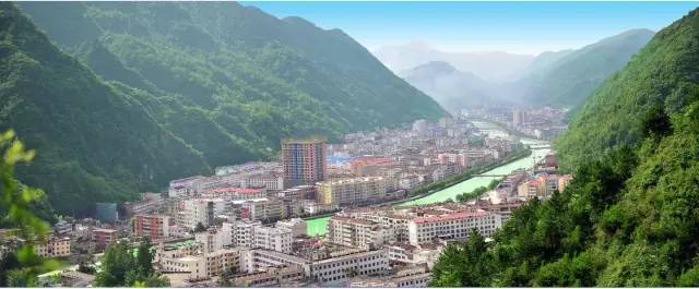 汉中红镇巴高山富硒茶(汉中汉山红茶)-硒宝网