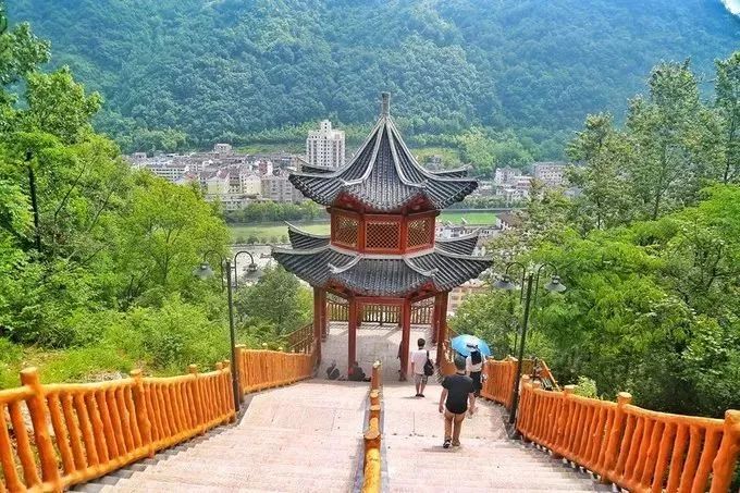 汉中红镇巴高山富硒茶(汉中汉山红茶)-硒宝网