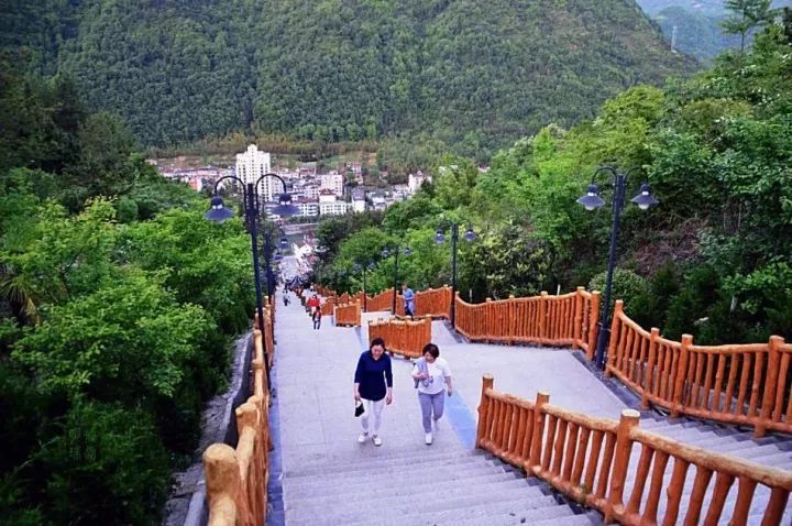 汉中红镇巴高山富硒茶(汉中汉山红茶)-硒宝网