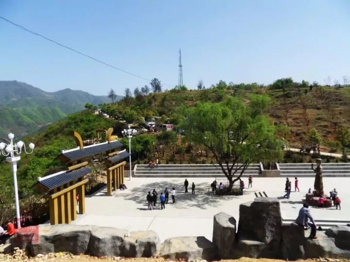 汉中红镇巴高山富硒茶(汉中汉山红茶)-硒宝网