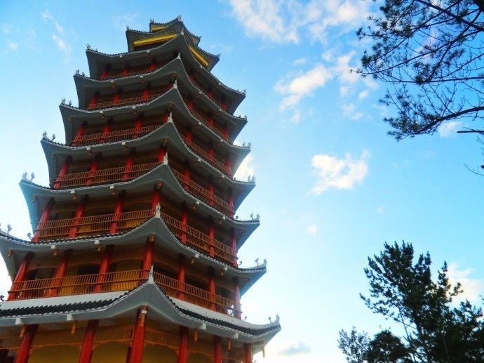 汉中红镇巴高山富硒茶(汉中汉山红茶)-硒宝网