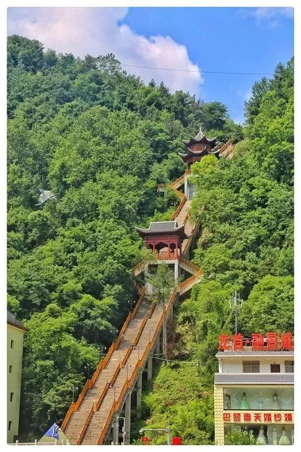 汉中红镇巴高山富硒茶(汉中汉山红茶)-硒宝网