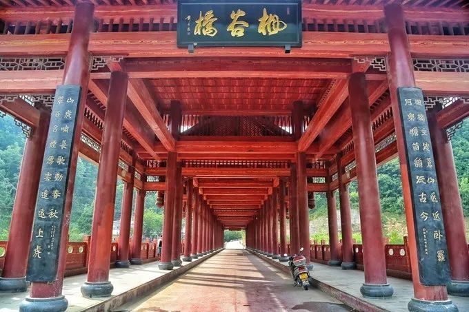 汉中红镇巴高山富硒茶(汉中汉山红茶)-硒宝网