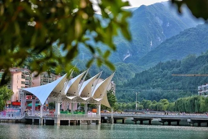 汉中红镇巴高山富硒茶(汉中汉山红茶)-硒宝网