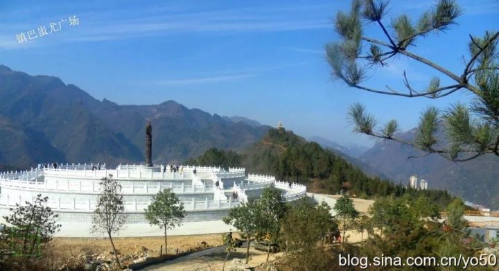 汉中红镇巴高山富硒茶(汉中汉山红茶)-硒宝网