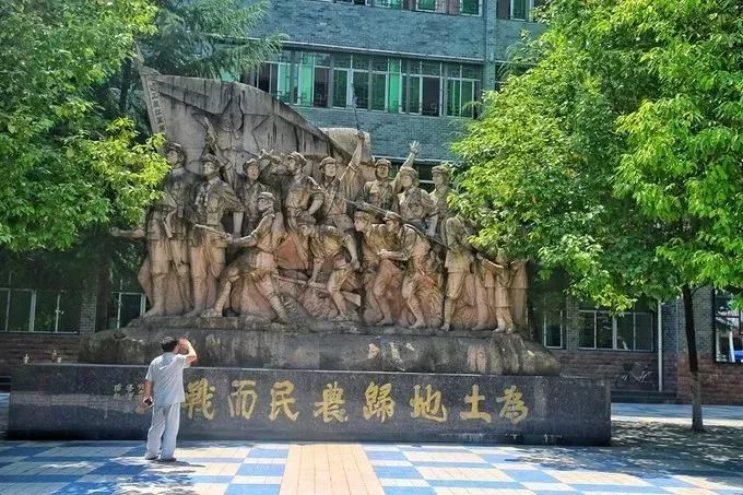 汉中红镇巴高山富硒茶(汉中汉山红茶)-硒宝网