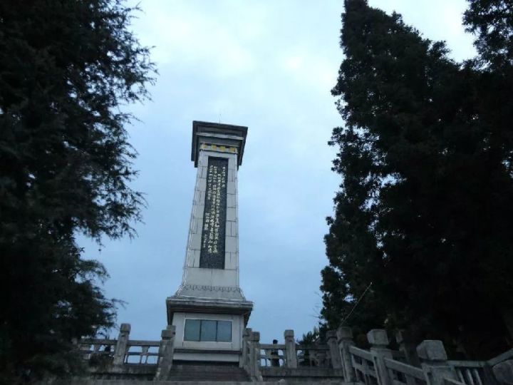 汉中红镇巴高山富硒茶(汉中汉山红茶)-硒宝网