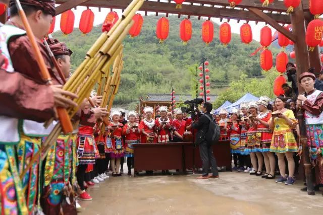 汉中红镇巴高山富硒茶(汉中汉山红茶)-硒宝网