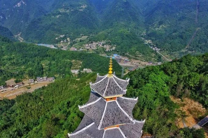 汉中红镇巴高山富硒茶(汉中汉山红茶)-硒宝网
